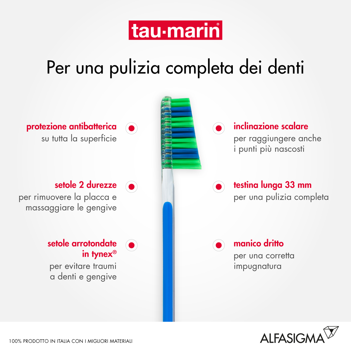 TAUMARIN SPAZZ SCAL33 M ANTIBA