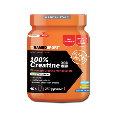 100% CREATINE 500G