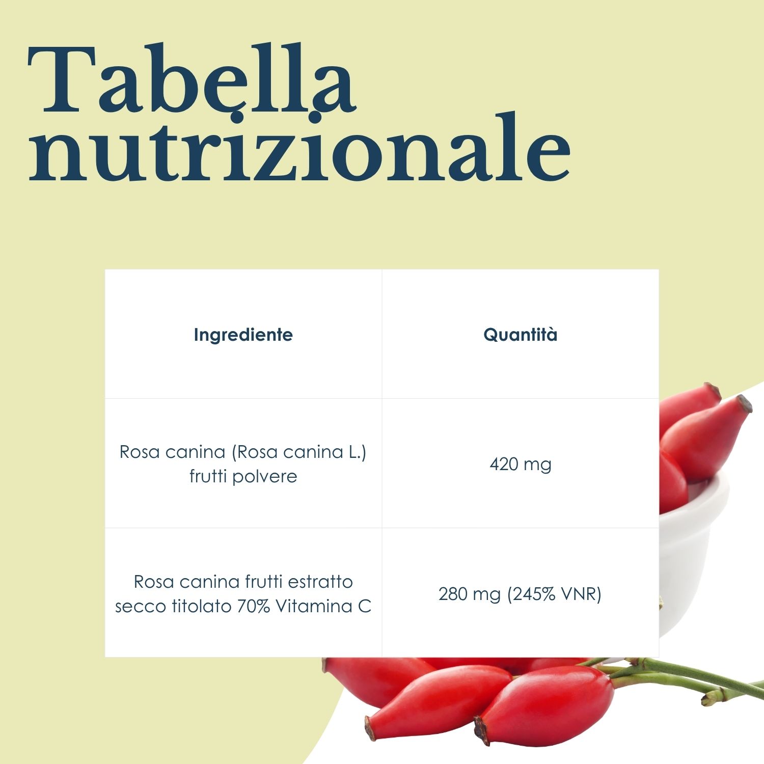 Erbex Rosa Canina Integratore Ricostituente 100 Capsule
