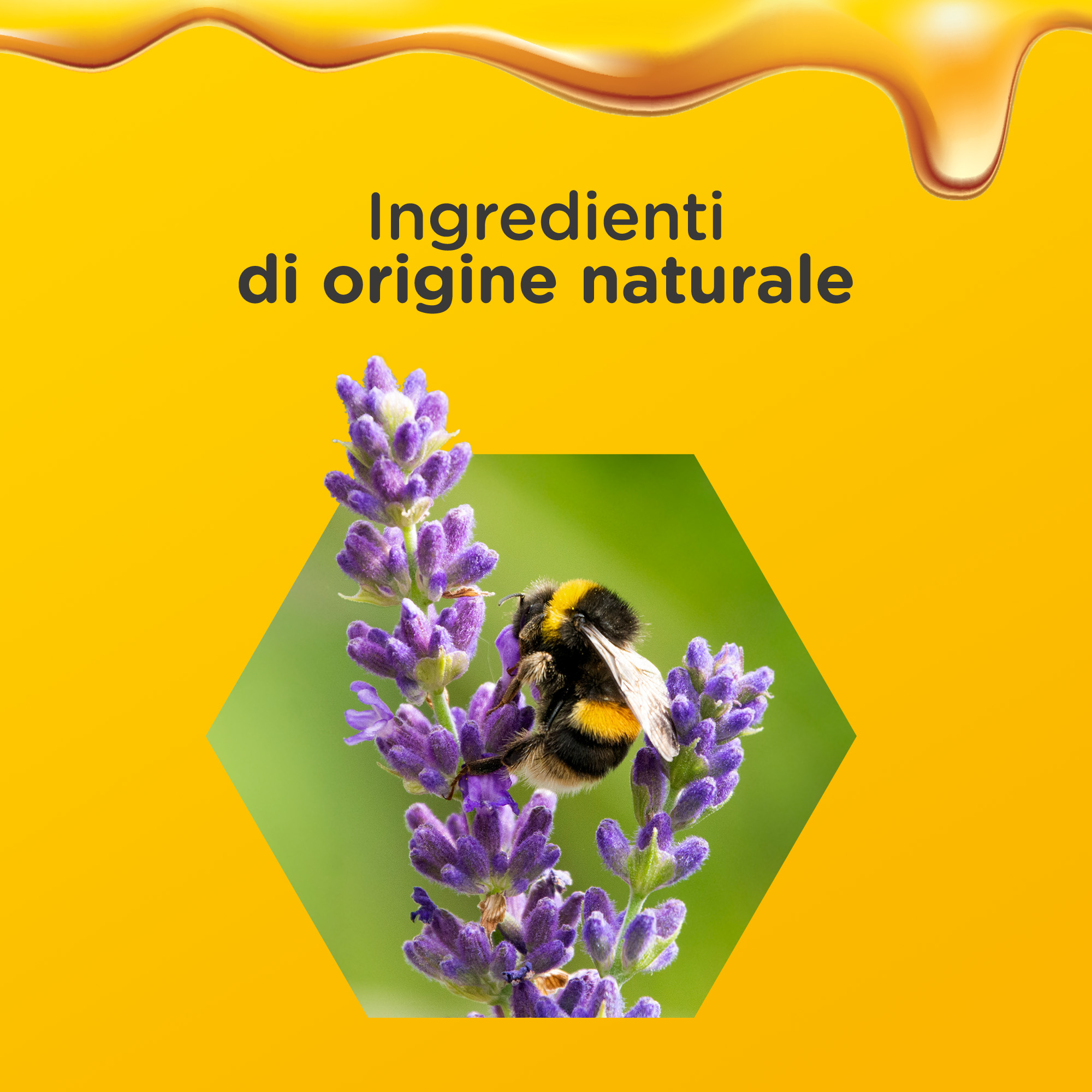 Zarbee's Sciroppo Notte Difese Immunitarie Adulti 120 ml, Multivitaminico per favorire rilassamento