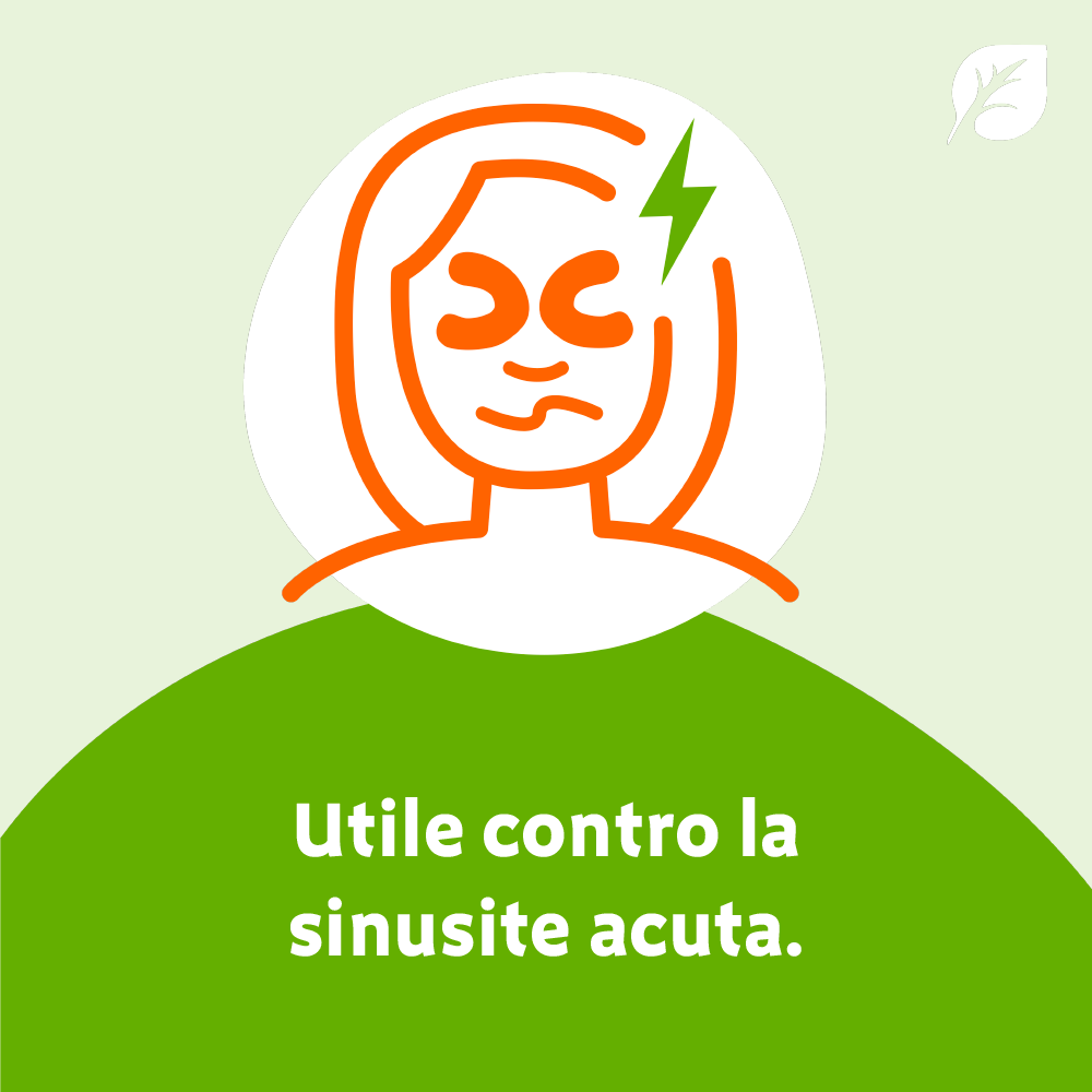 Bionorica Sinupret Sinusite - 20 Compresse Rivestite Per Il Trattamento Della Sinusite