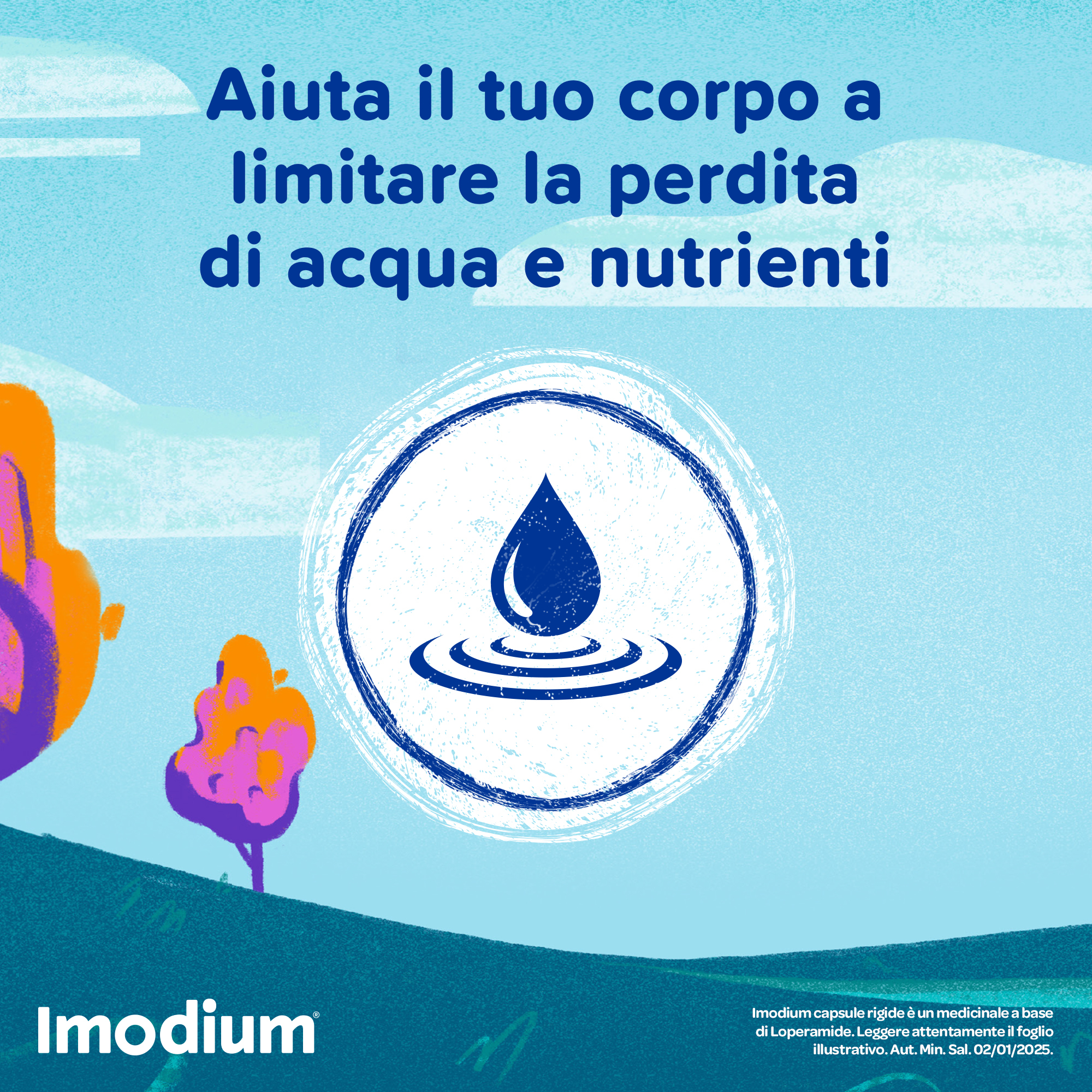 Imodium Diarrea occasionale acuta 12 Compresse