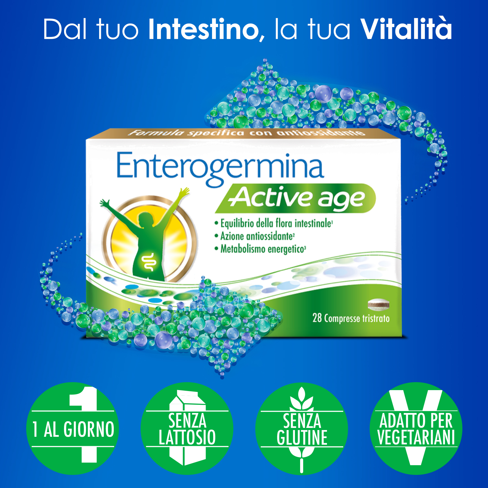 Enterogermina Active Age 28 compresse, Integratore con Probiotici (Fermenti Lattici), Ginkgo Biloba e Vitamina B12, Equilibrio Flora Intestinale, Azione Antiossidante, Riduzione Stanchezza 