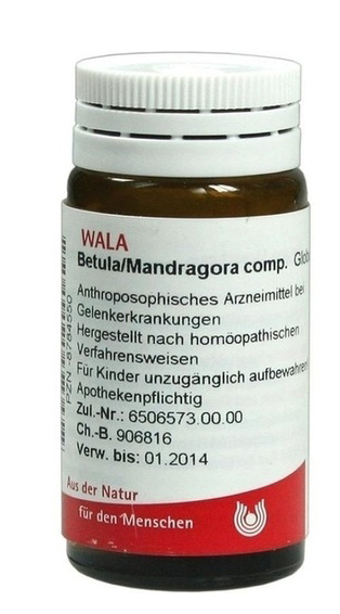 BETULA MANDRAGORA 20G GL WALA