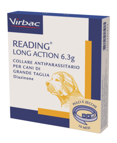 READING LONG ACT CANI GRANDI