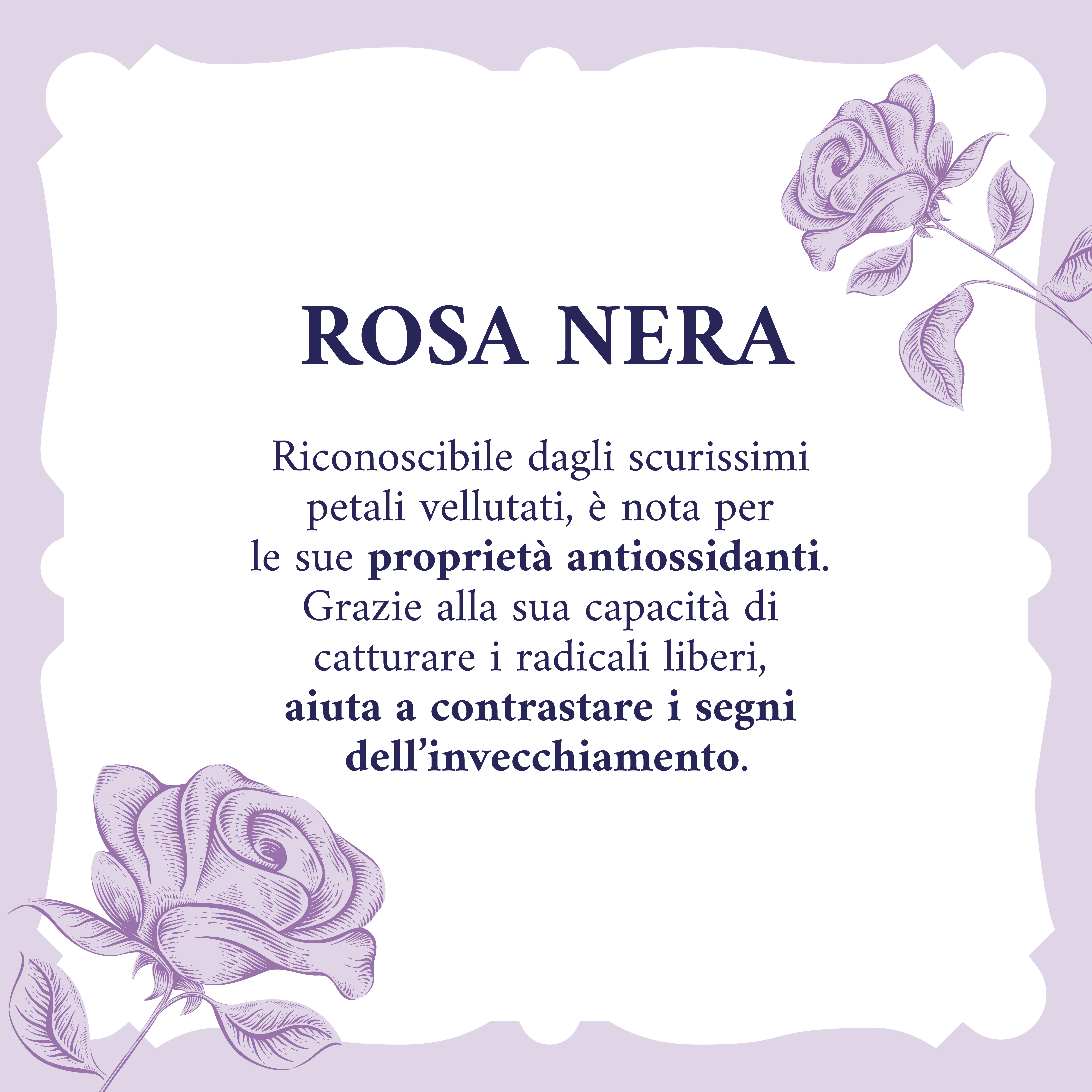 Acqua Alle Rose - Tonico Infuso Con Siero Rimpolpante 150 ml