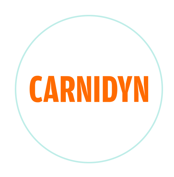 Carnidyn___Logo_FS