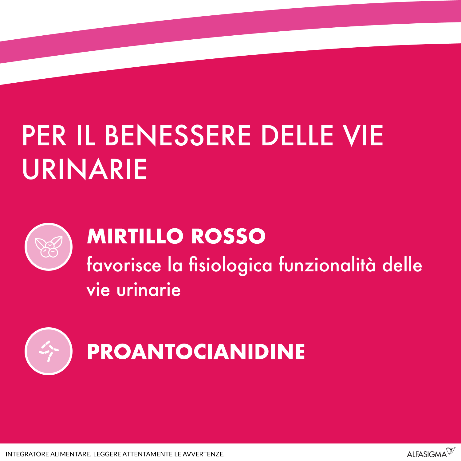 Cistiflux a Plus 36Ed, Integratore a Base di Estratto di Mirtillo Rosso, Cranberry Americano, e D-Mannosio, per Favorire Una Corretta Funzionalità delle Vie Urinarie, utile in caso di cistite, 14 Bustine, Gusto Frutti di Bosco