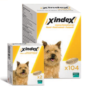 XINDEX 2CPR MAST CANI