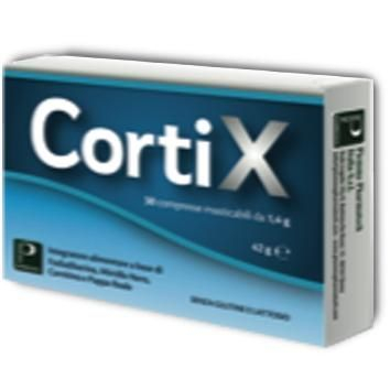 Cortix integratore alimentare utile per le capacit