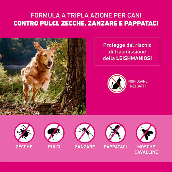 Frontline Tri Act x1 Pipetta, Antiparassitario Per Cani e Cuccioli (Taglia S 5-10Kg) Contro Pulci, Zecche, Zanzare, Pappataci e Leishmaniosi
