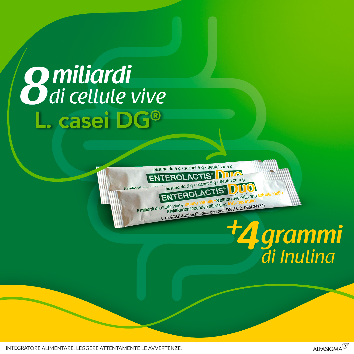 Enterolactis Duo, Integratore Alimentare con Fermenti lattici, probiotici L,Casei DG, 8 Miliardi Cellule Vive, Con Fruttosio, Senza Glutine e Lattosio, 10 Bustine