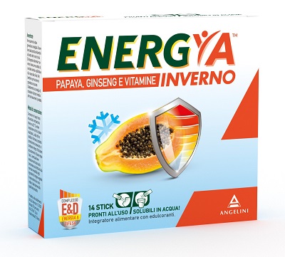 ENERGYA INVERNO 14BUST