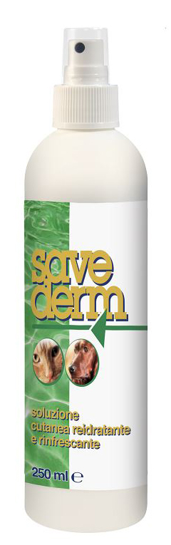 SAVEDERM Soluz.250ml