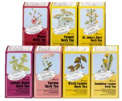 Salus Mate Tisana Energizzante Biologica 15 Filtri