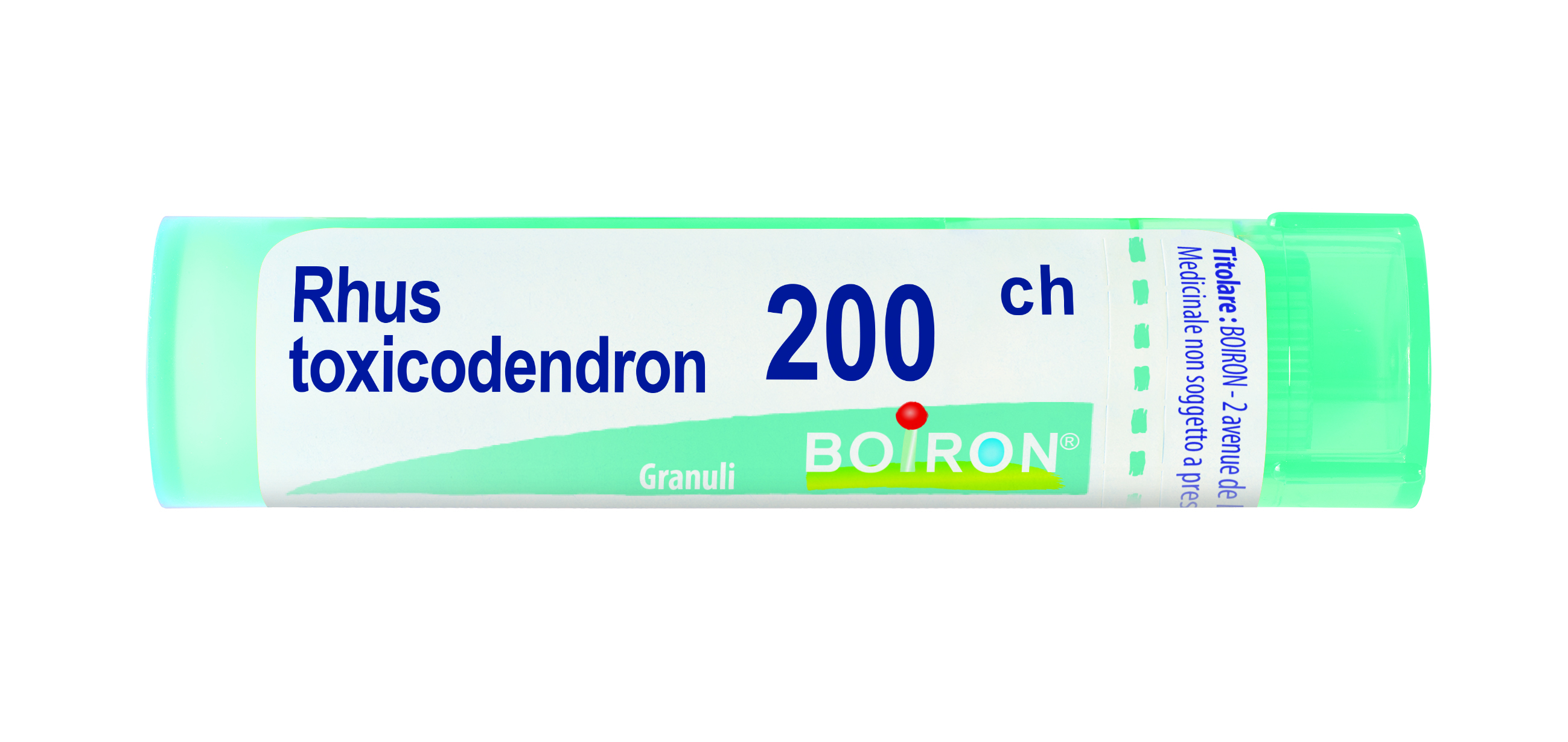 RHUS TOXICODENDRON 200CH 80GR