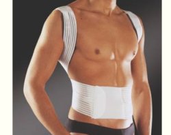 PAVIS Raddrizzaspalle 576 XL