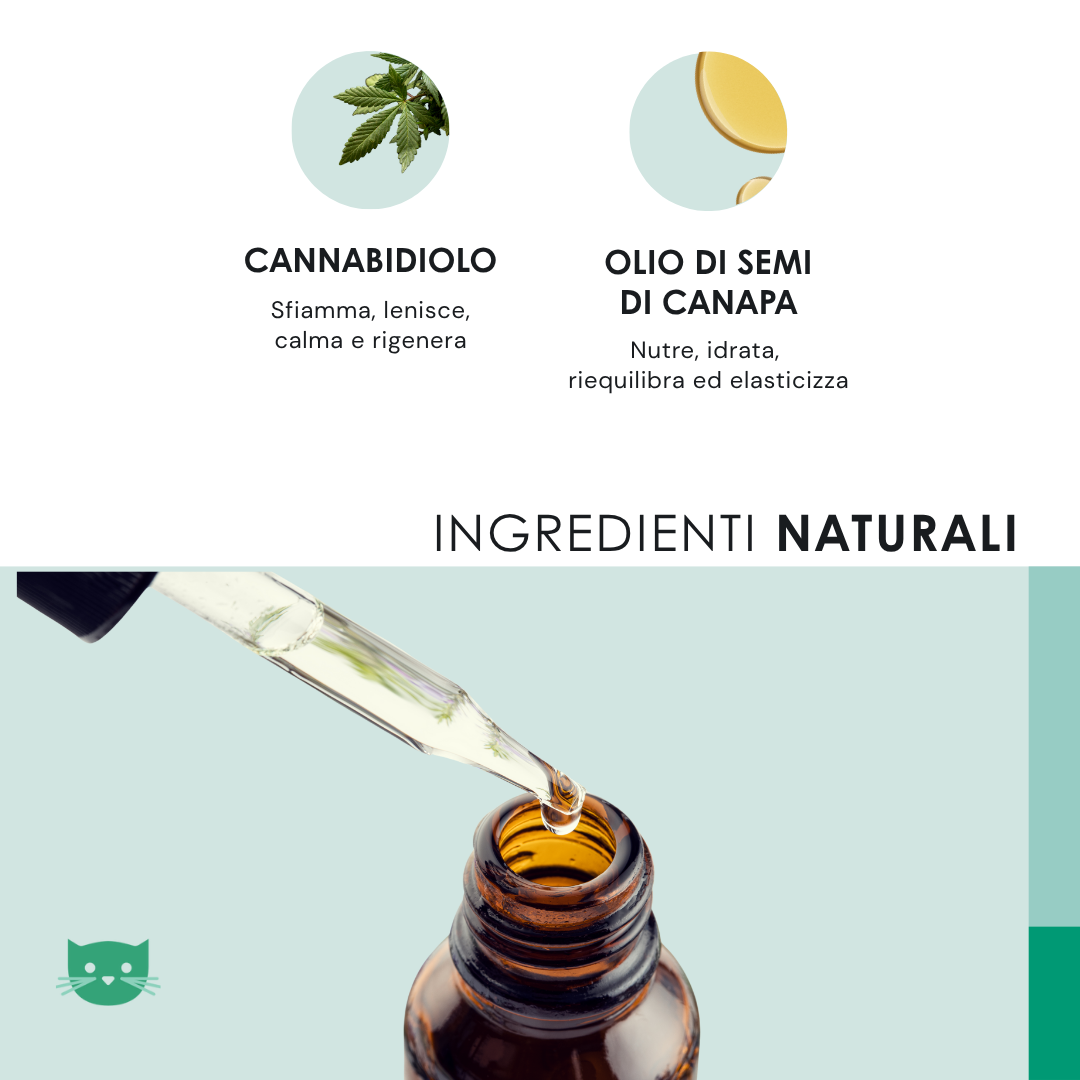 Eusphera CBD Oil Cat - Olio Calmante Naturale Per Gatti 10 ml