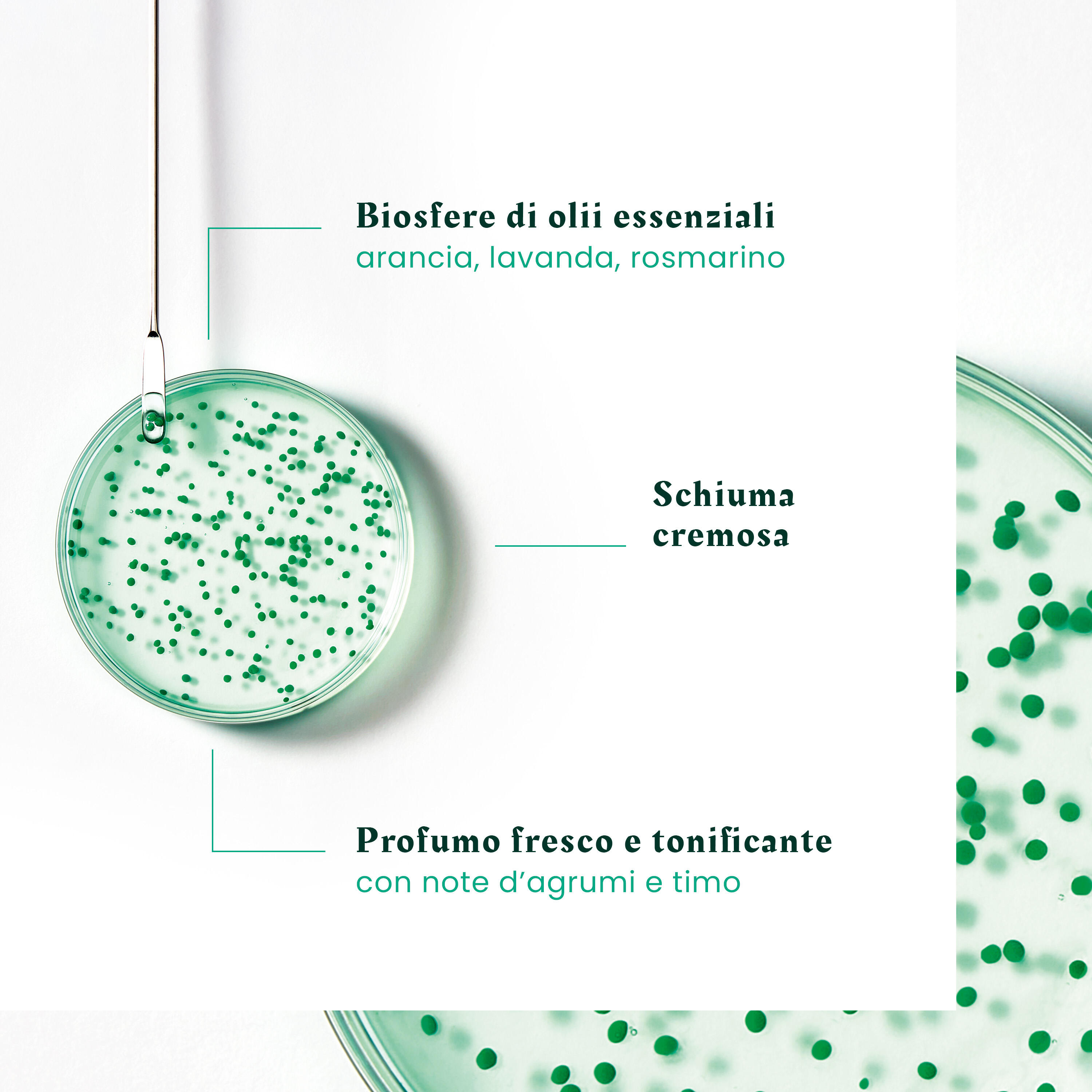 René Furterer - FORTICEA - Shampoo fortificante rivitalizzante 200 ml