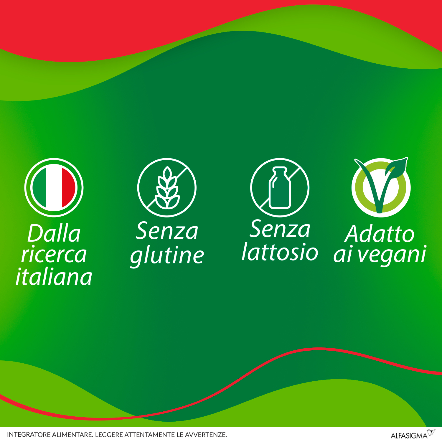 Enterolactis Plus Bustine, Integratore Alimentare con Fermenti lattici, probiotici L,Casei DG, 24 Miliardi Cellule Vive, Con Fruttosio, Senza Glutine e Lattosio, 14 Bustine da Sciogliere in Acqua