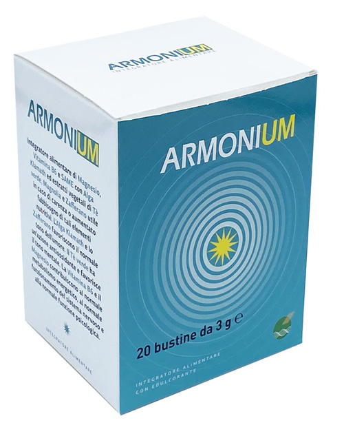 ARMONIUM 20BUSTINE 3G