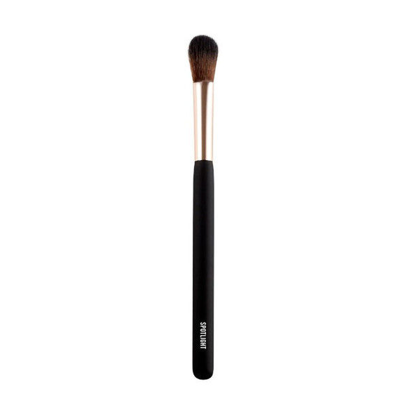 MULAC BRUSH FACE SPOTLIGHT 04  002