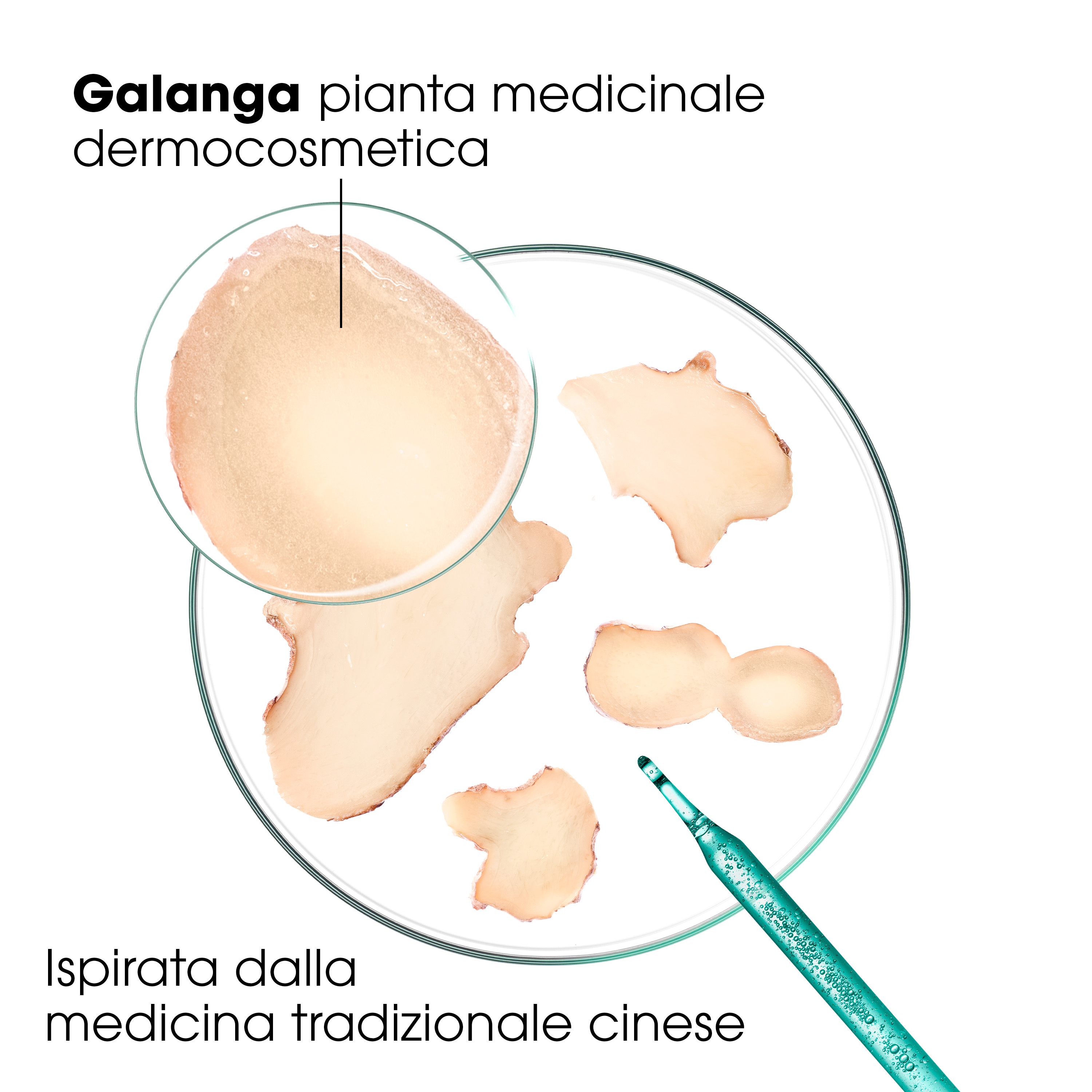 Klorane Anti-Forfora Shampoo trattante e riequilibrante alla Galanga, forfora secca e grassa, 200 ml