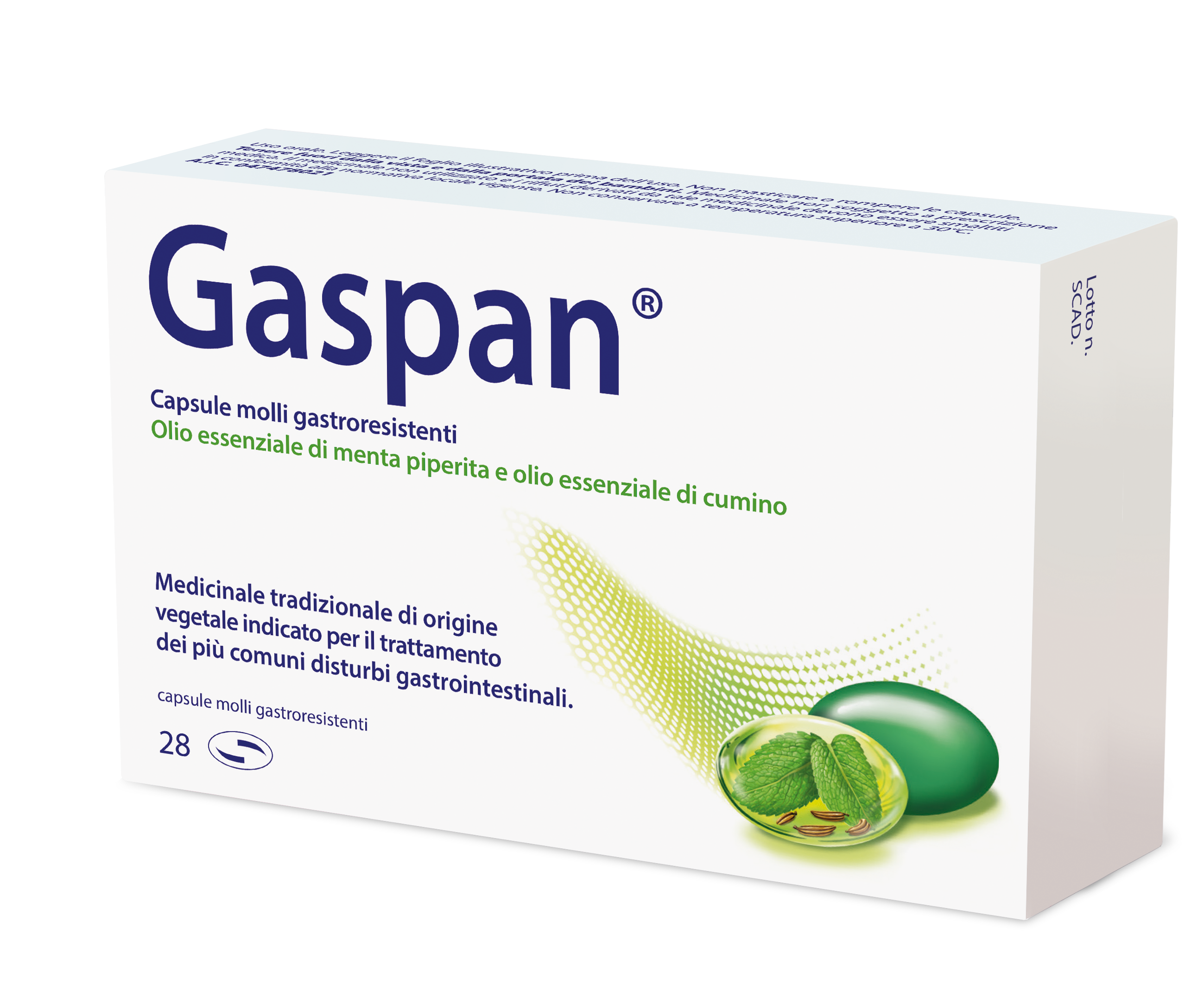 GASPAN 28CPS MOLLI gastroresistenti