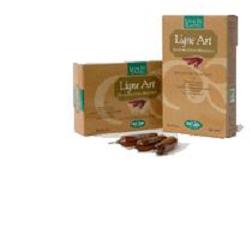 LIGNE ART 20 AMPOLLE BEVIBILI 15 ML