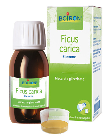 FICUS CARICA MG 60ML INT