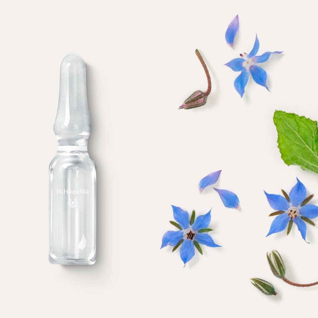 Dr. Hauschka - Cura Di Bellezza Viso Pelle Sensibile Giorno E Notte 50 Fiale