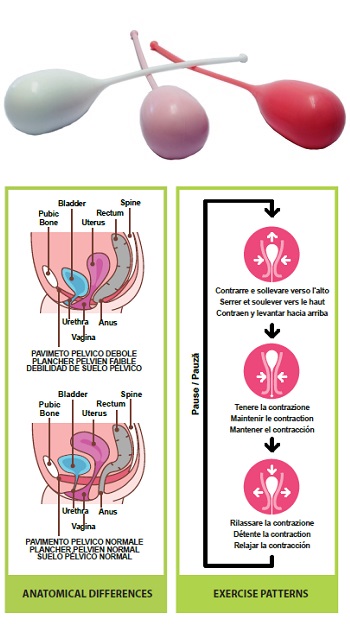 PELVIK KIT 3CONI VAGINALI