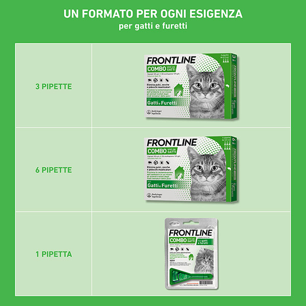 Frontline Combo Gatti x6 Pipette, Antiparassitario per Gatti, Gattini e Furetti, Contro Pulci, Zecche, Uova, Larve e Pidocchi 