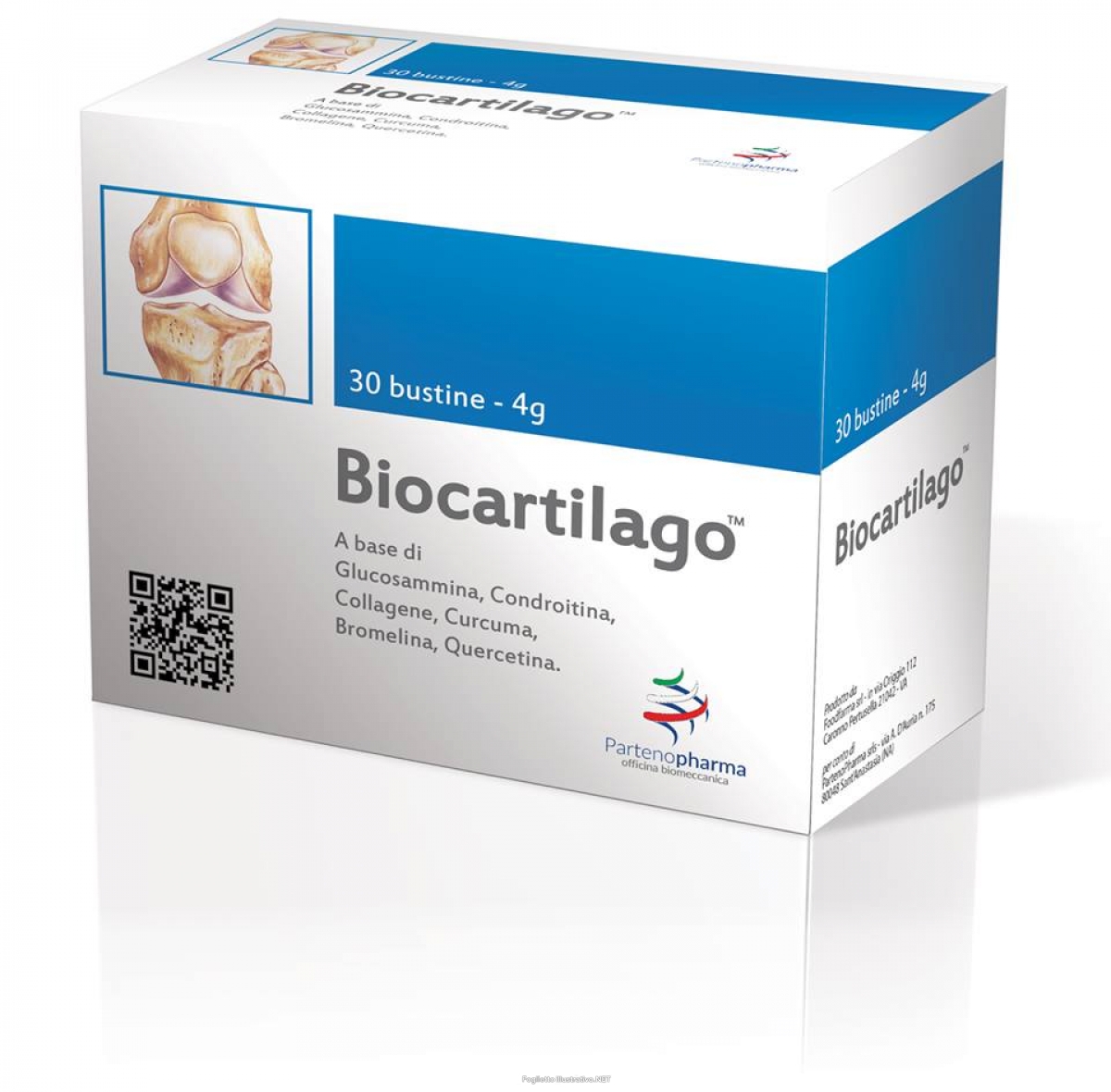 BIOCARTILAGO BS