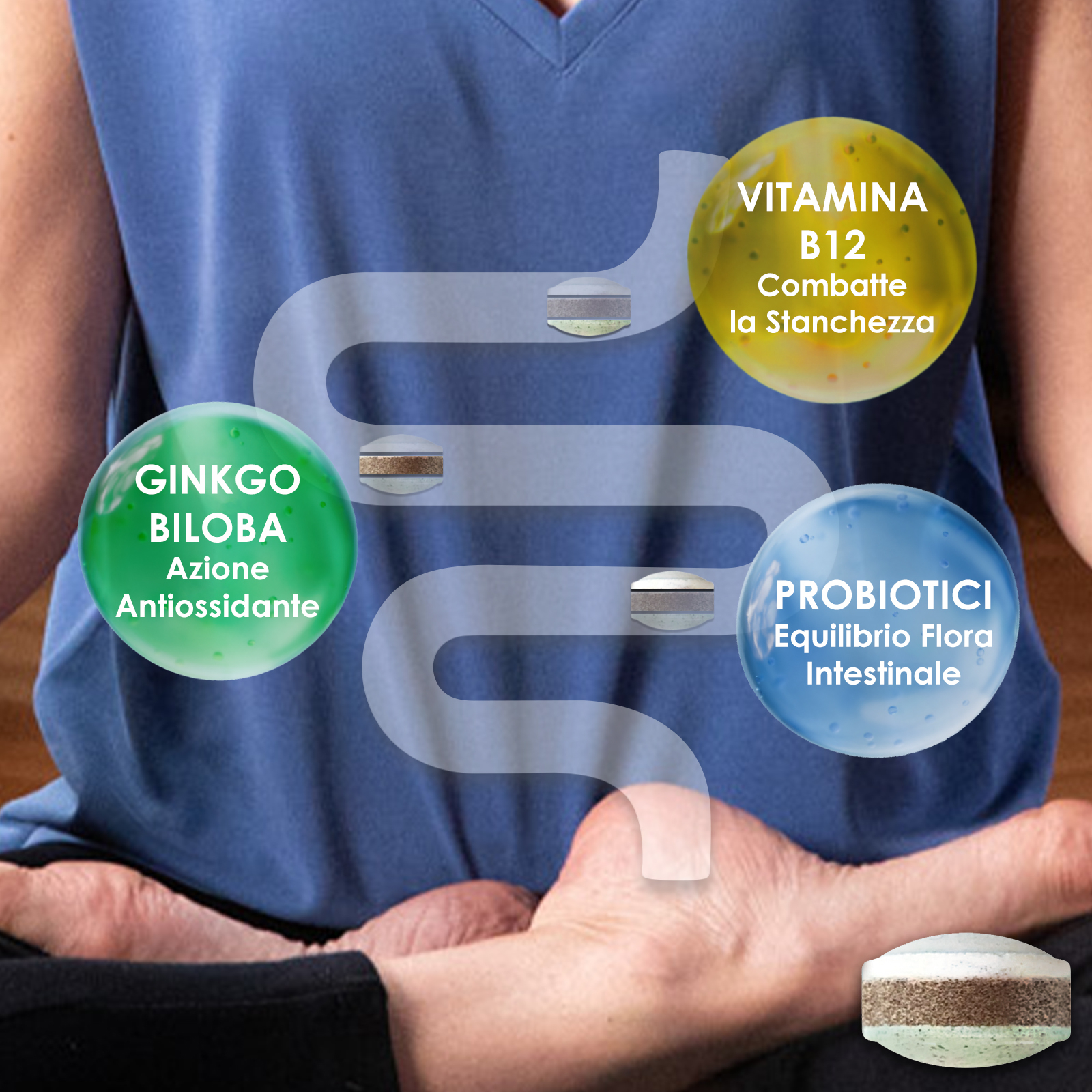 Enterogermina Active Age 28 compresse, Integratore con Probiotici (Fermenti Lattici), Ginkgo Biloba e Vitamina B12, Equilibrio Flora Intestinale, Azione Antiossidante, Riduzione Stanchezza 