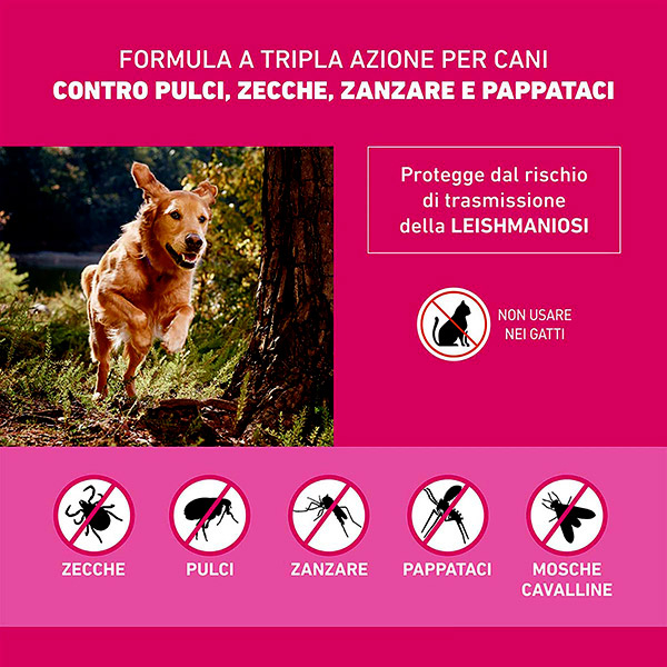 Frontline Tri Act x3 Pipette, Antiparassitario Per Cani e Cuccioli (Taglia XS 2-5Kg) Contro Pulci, Zecche, Zanzare, Pappataci e Leishmaniosi