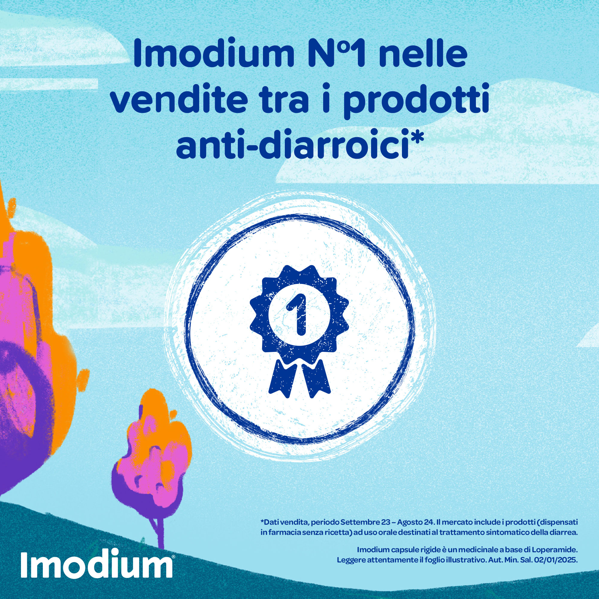 Imodium Diarrea occasionale acuta 12 Compresse