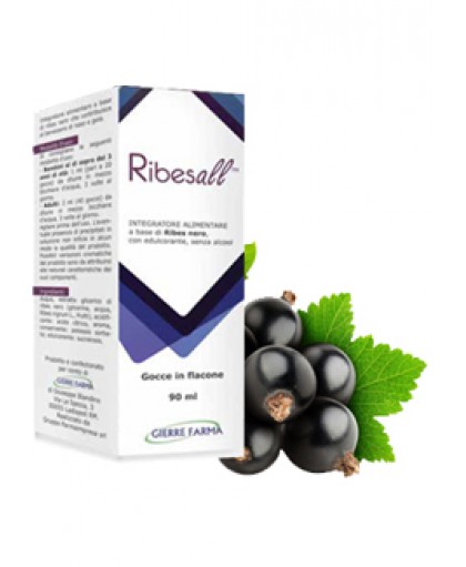 Ribesall Integratore 90 ml