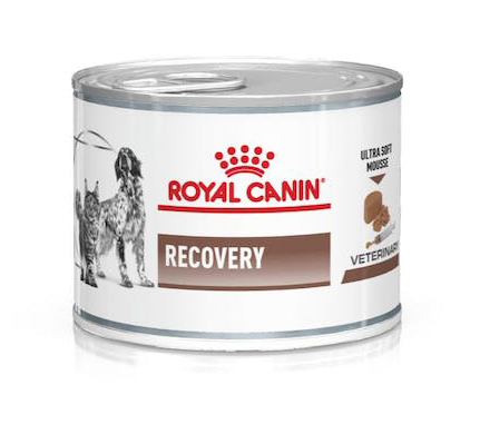 VD WET DOG&CAT RECOVERY 195G