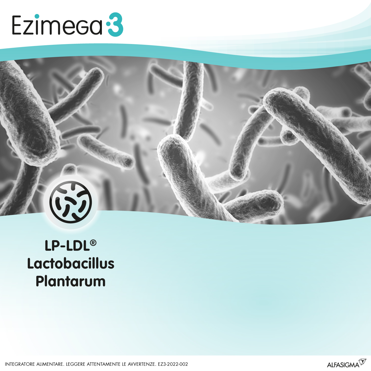 Ezimega 3, Integratore per il Colesterolo a Base di Monacolina K, Resveratrolo, Coenzima Q10, Lp-Ldl Probiotico Lactobacillus Plantarum, Acido Folico, utile per il controllo di colesterolo e trigliceridi, 20 Compresse