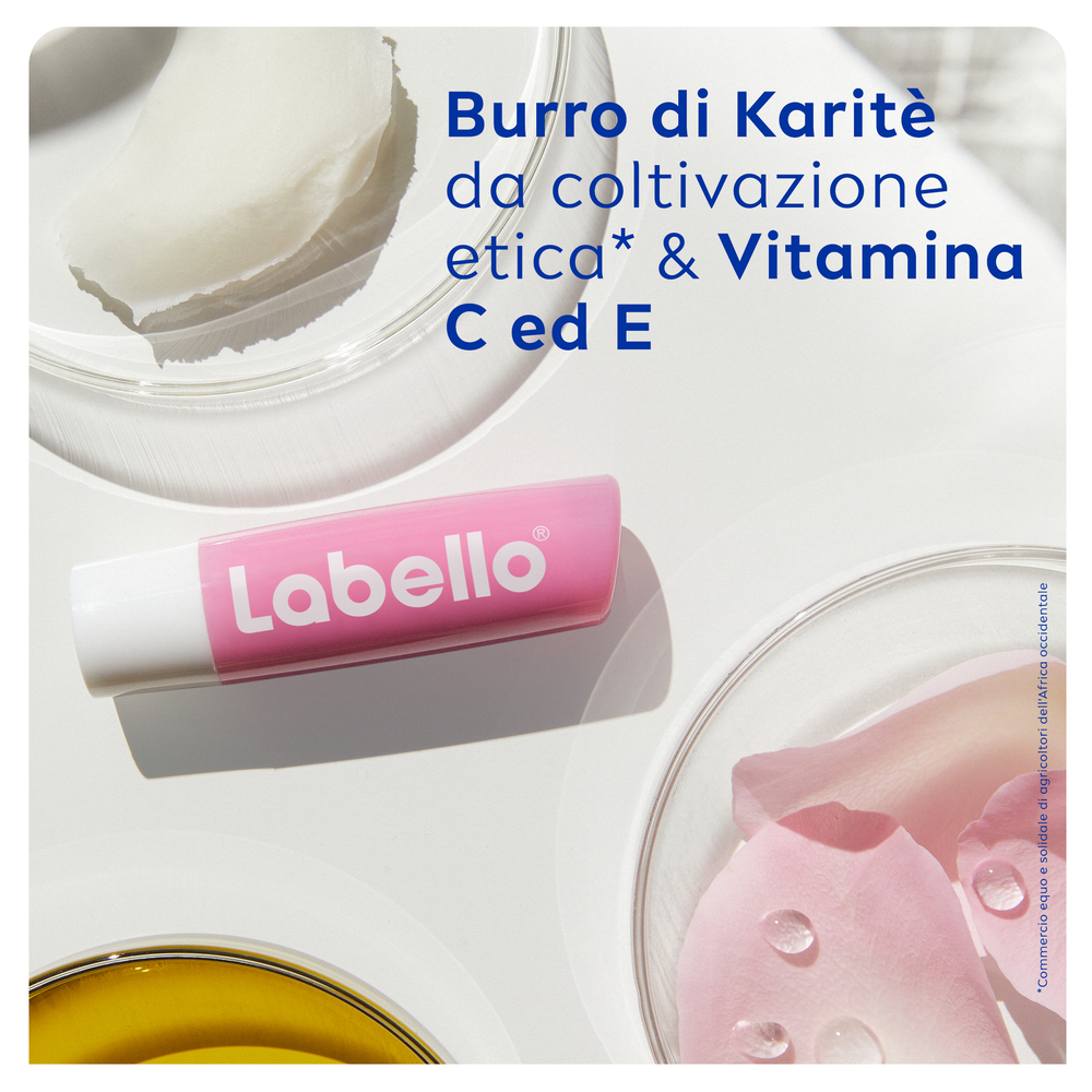 Labello Soft Rosé 4.8 g, Burrocacao labbra colorato e idratante con Estratto di Rosa
