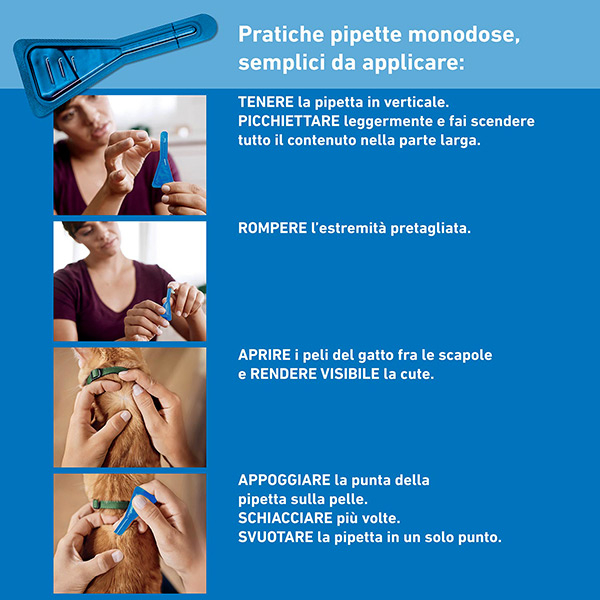 Frontline Spot On Gatti x4 Pipette, Antiparassitario per Gatti e Gattini, Contro  Zecche, Pulci e Pidocchi