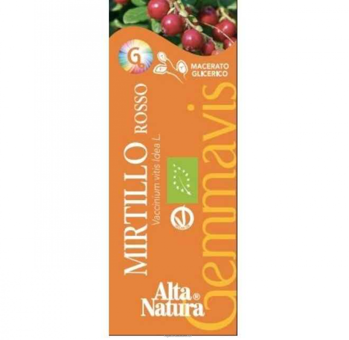 MIRTILLO ROSSO GEMMODERIVATO 50 ML