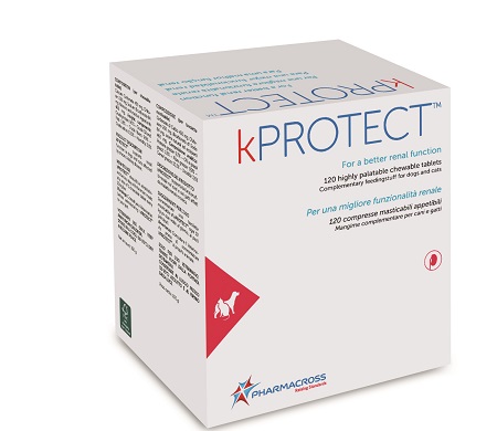 KPROTECT 120 Cpr mast.
