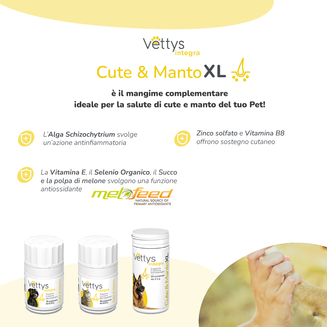 VETTYS Integra Cute&Manto XL