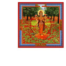 TRIPHAURUM GOCCE 30 ML