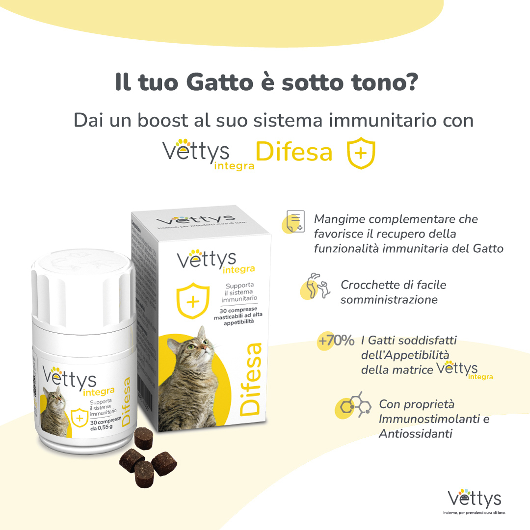 VETTYS Integra Difesa Gatto