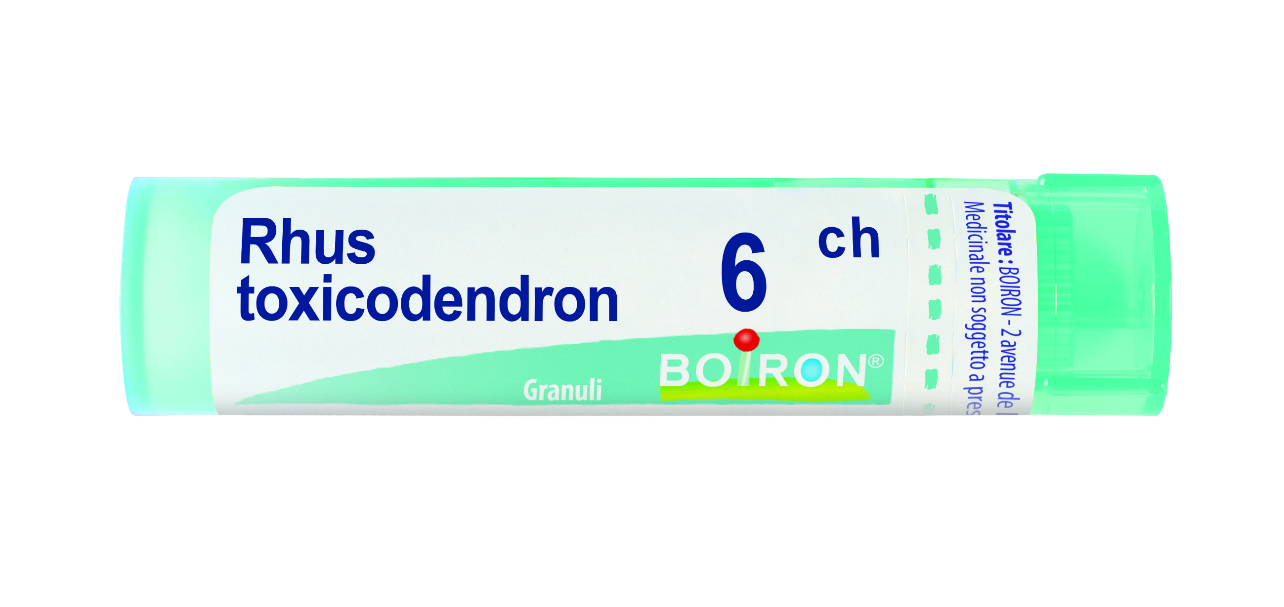 RHUS TOXICODENDRON 6CH 80GR 4G