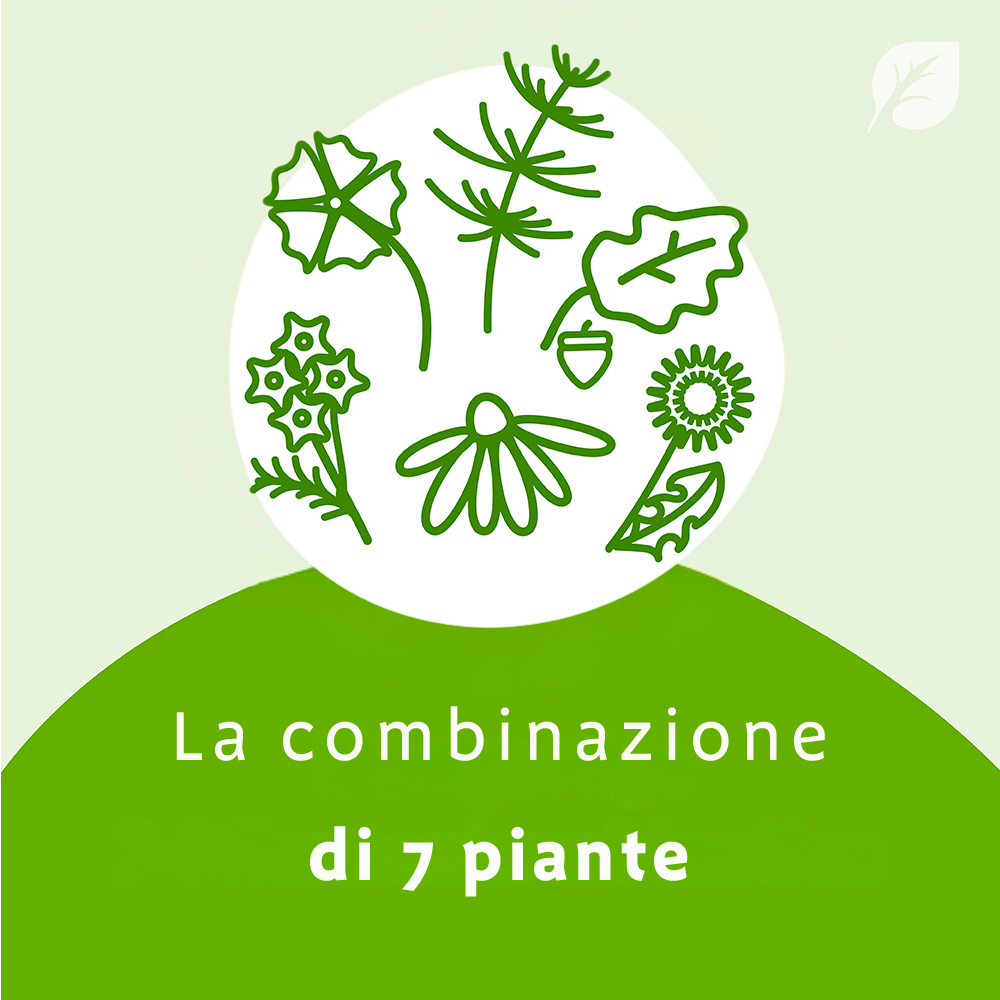 Bionorica Imupret - 50 Compresse Rivestite Per Il Trattamento Sei Sintomi Influenzali