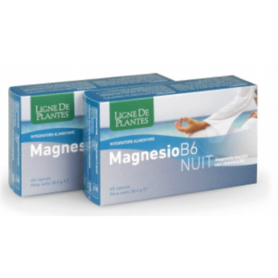 MAGNESIO B-6 NUIT 60CPS